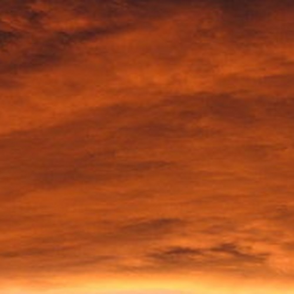 Meet your Posher, Arian